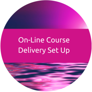 On-line Course Delivery Set Up